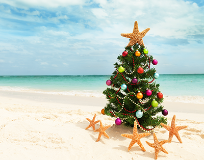 Christmas tree on beach